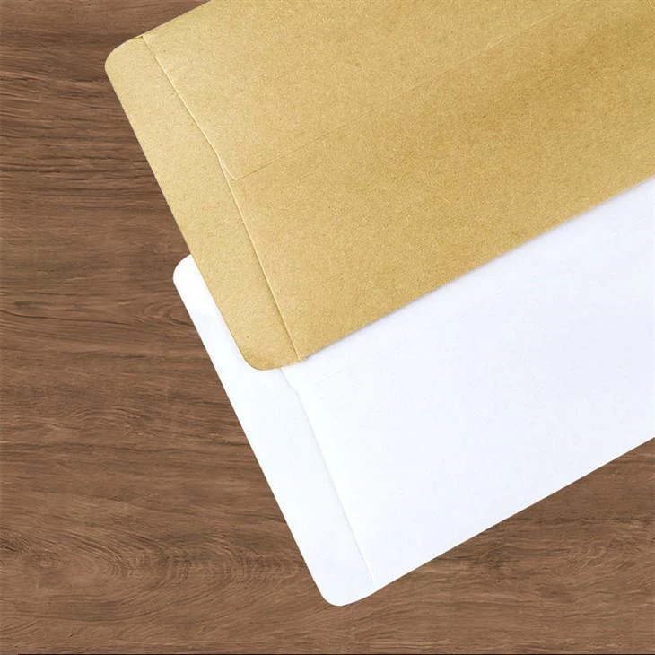 Kraft Paper Envelope Bags suppliers